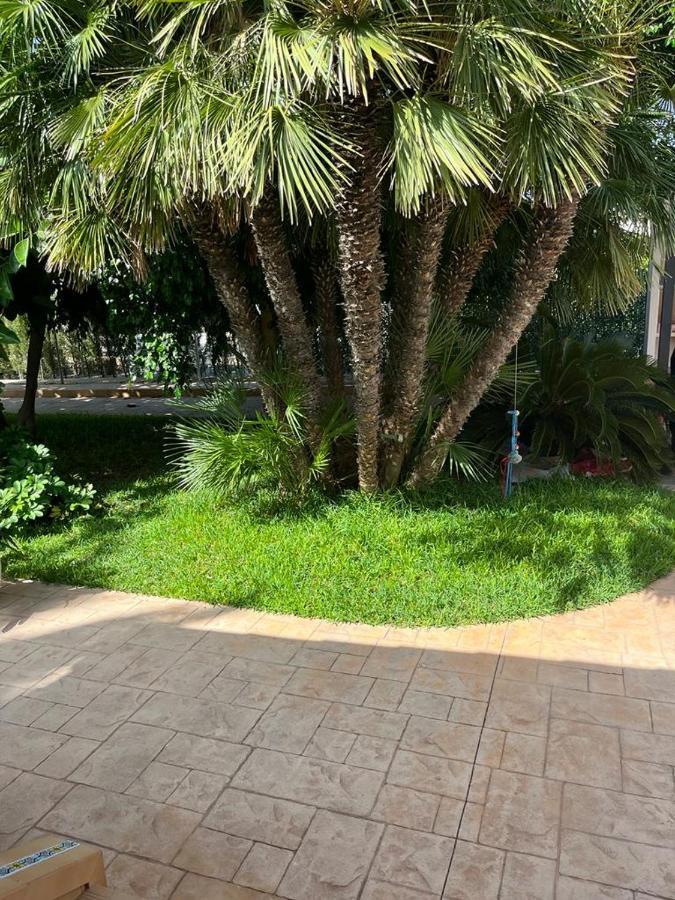 Romantico Wellness Casa Veronica Elche Eksteriør billede